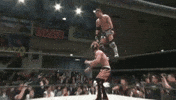 pro wrestling GIF