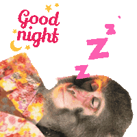 寝る Good Night Sticker