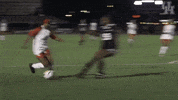 houston cougars go coogs GIF by Coogfans
