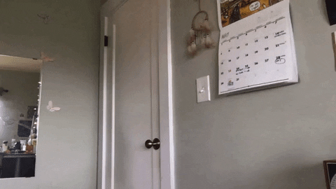 NVHC giphybackdropmaker GIF