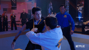 Cobra Kai Karate GIF by NETFLIX