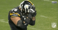 Pittsburgh Steelers Football GIF by NFL