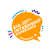 europeanintegrationgroup europe youth experience esc Sticker