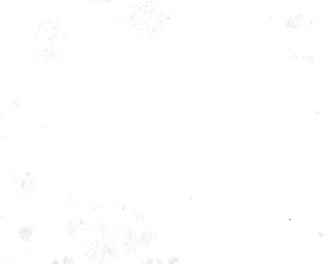 premier league football GIF by Dan Leydon