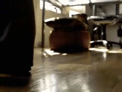 effarrjay9799 giphygifmaker apple 2001 ipod GIF