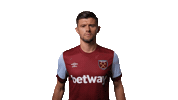 Premier League Hammers Sticker by West Ham United
