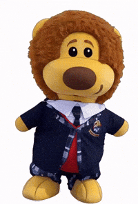 Angry GIF by colegioroth