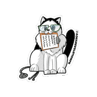 Cat Doctor Sticker by Aqua Revolution