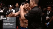ufc 206 swanson GIF