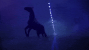 can&#39;t say GIF by Travis Scott