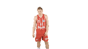 Fc Bayern Bbl Sticker by FC Bayern Basketball