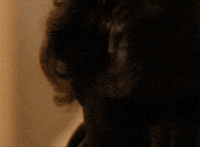 marlon brando GIF by Maudit