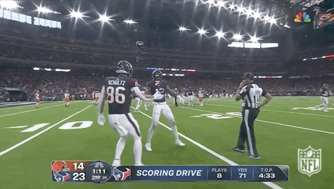 Houston Texans Football GIF by NFL