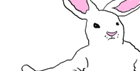 Fight Illustration GIF by Westhoffenator