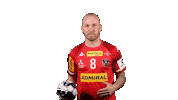 HandballAustria  Sticker