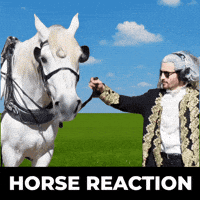 Horse Stallion GIF