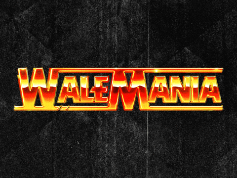 Las Vegas Wale GIF by WALEMANIA