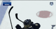 st louis sport GIF by St. Louis Blues