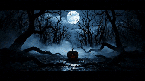 Trick Or Treat Halloween GIF