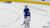Happy Toronto Maple Leafs GIF by NHL