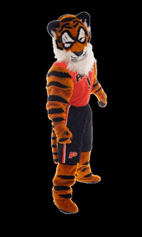 pacificgraduateschool powercat uopacific uopgrad uopgrad2020 GIF