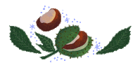 Fall Autumn Sticker
