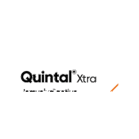 Quintal Sticker by Cortevapy