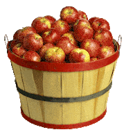 Apple Pie Apples Sticker