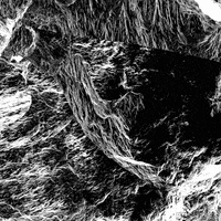 Black And White Art GIF by Pi-Slices