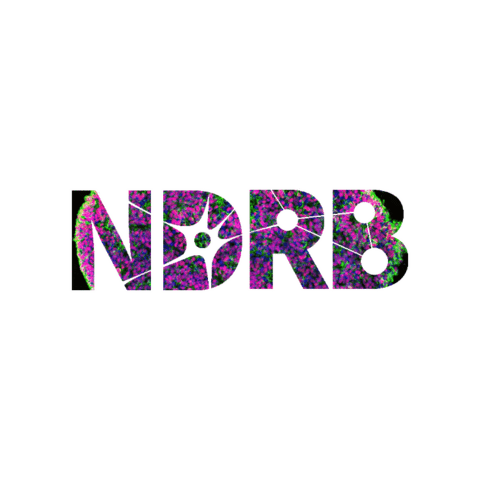 utsaNDRB giphygifmaker utsa ndrb utsandrb Sticker