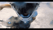 victoryteam victory ride speed champion GIF