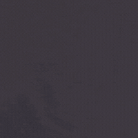Luis Felipe GIF by San Jose Earthquakes