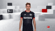 Bayer 04 What GIF by Bundesliga