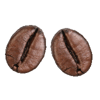 Coffee Bean Sticker by Amsterdam! Good Cookies