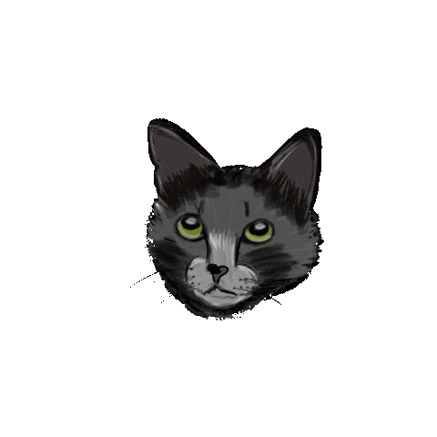vanesabozo giphyupload cat illustration tarathecat Sticker