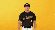 Cal State La Sport GIF by Cal State LA Golden Eagles