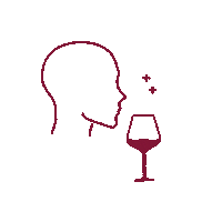 adrienboutin degustation ccvh degustation ccvh drinking ccvh Sticker