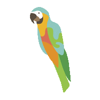 rio de janeiro coco Sticker by Lapa Comunicação