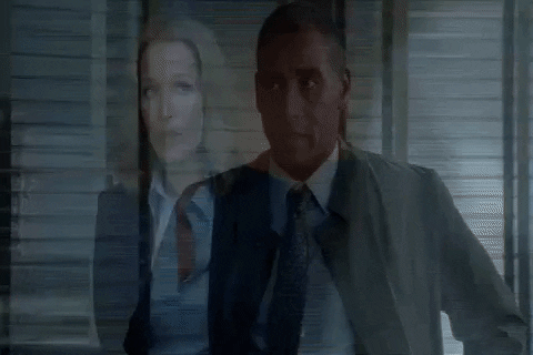 x files GIF by The X-Files