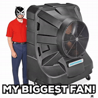 Big Fan GIF