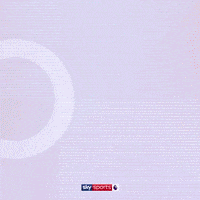 Goal Epl GIF by skysports