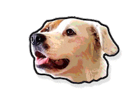 Dog Abrecultura Sticker by ABRE