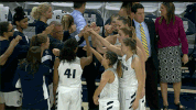 utah state GIF by USUAthletics