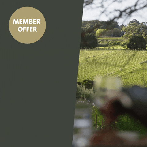 GIF by Quest Apartment Hotels