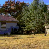 party hen GIF