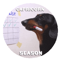 Zodiac Sign Dog Sticker by Sealed With A GIF