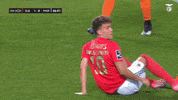 Sl Benfica Smile GIF by Sport Lisboa e Benfica