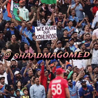 Royal Challengers Bangalore Politics GIF