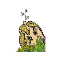 Colombia Armadillo Sticker by Fundación Omacha
