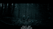 Shadow And Bone GIF by Signature Entertainment